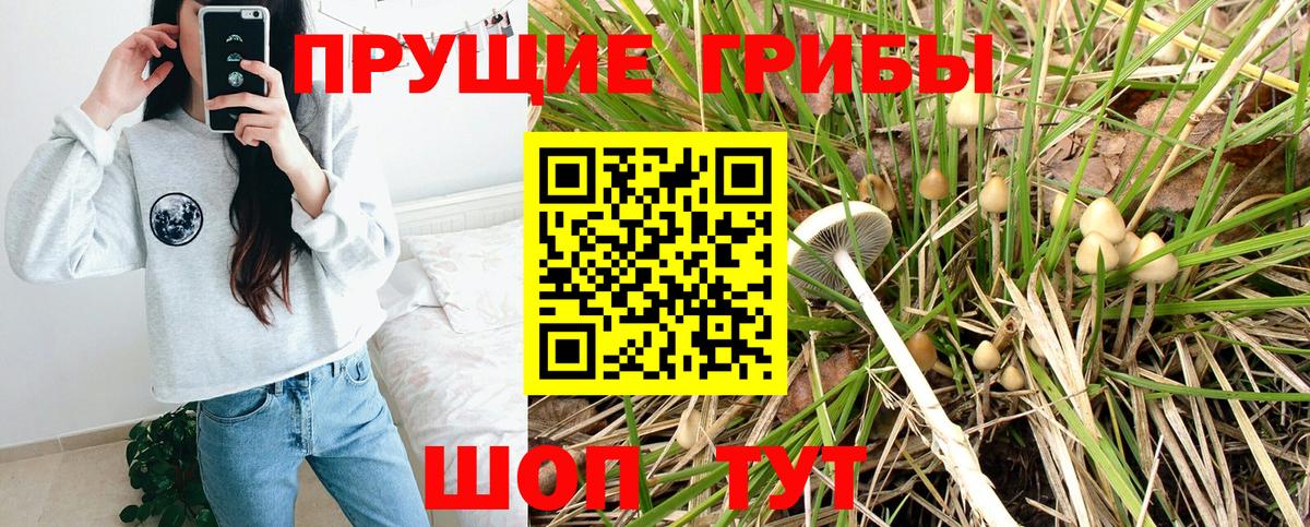 Галлюциногенные грибы MAGIC MUSHROOMS Брянск